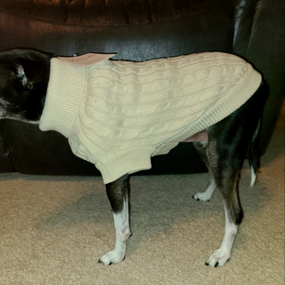 Dog Turtleneck Sweater